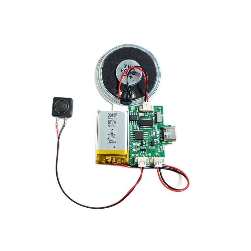 Audio Music For Download - Module audio sans fil rechargeable avec