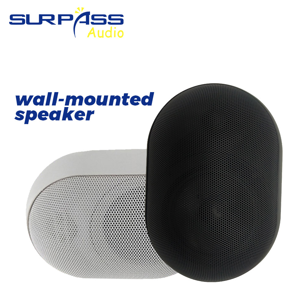 Audio Music Background - 30W haut-parleur mural étanche IP55 système