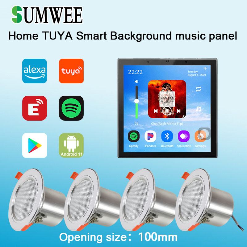 Amplificateur mural 4 pouces A - Audio Music Background avis et prix